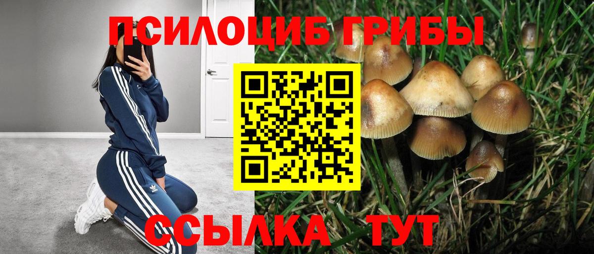 Лсд 25  Бошки Шишки  КОКАИН  NBOMe  Кетамин  Ярцево  Вход с VPN  Мефедрон кристаллы  Где купить  ГАШИШ  ЭКСТАЗИ 